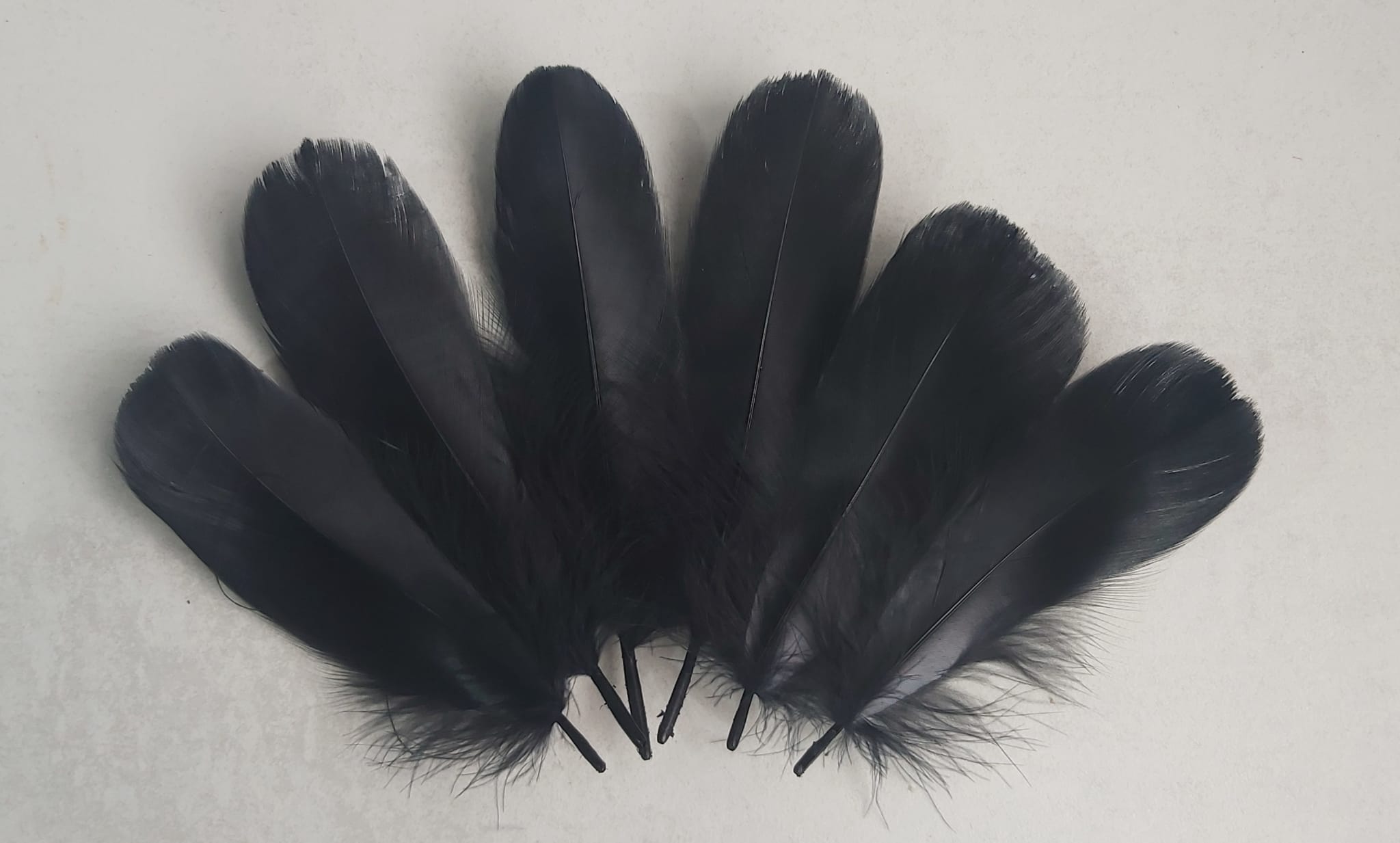 Goose feathers for crafting – Vanir Creations